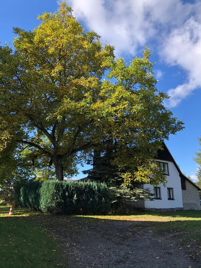 Utulna Chaloupka V Krkonosich Villa Vysoke nad Jizerou Exterior photo